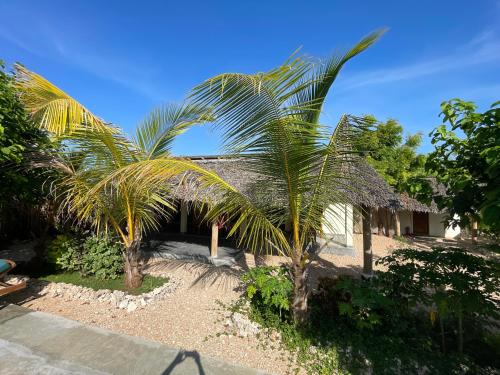 a palm tree in front of a house at Diana Place in Paje