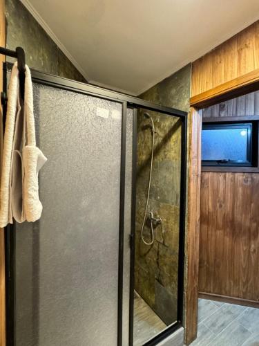 a shower with a glass door in a bathroom at Inspiramide Pucon in Pucón