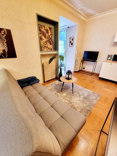 sala de estar con sofá y TV en Superbe Appartement Calme et Spacieux, en Graulhet