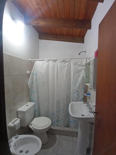 a bathroom with a toilet and a sink and a shower at Ratto 463 in Concepción del Uruguay