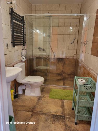 a bathroom with a shower and a toilet and a sink at Dom Gościnny Orange in Wysowa-Zdrój