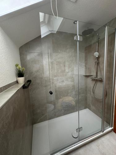 um chuveiro com uma porta de vidro na casa de banho em Ferienwohnung Burgunder-Paradies em Britzingen