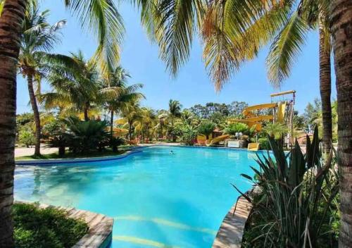uma piscina com palmeiras num resort em Quarto Barretos Country Resort em Barretos