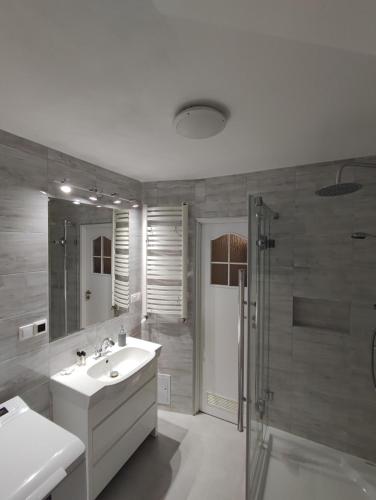 a bathroom with a sink and a shower at Apartament Brama Bałtyku in Gdańsk