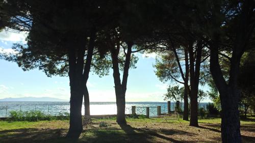 Un paisaje natural cerca de la villa