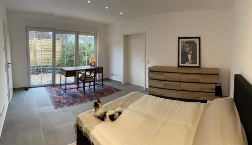 eine Katze, die in einem Schlafzimmer auf einem Bett liegt in der Unterkunft Smart Dog in Köln