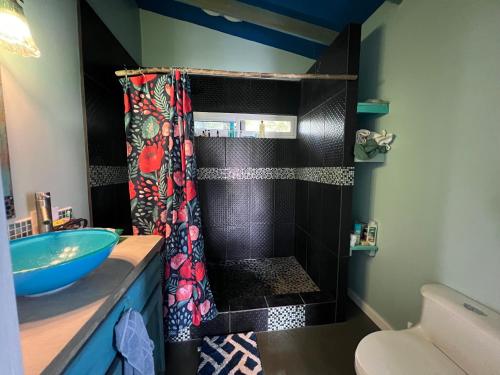 a bathroom with a shower with a blue sink at Dockside Utila Ocean front suites in Utila