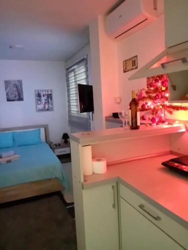 ein Schlafzimmer mit einem Bett und eine Küche mit einer Theke in der Unterkunft Apartman Park Kragujevac in Kragujevac