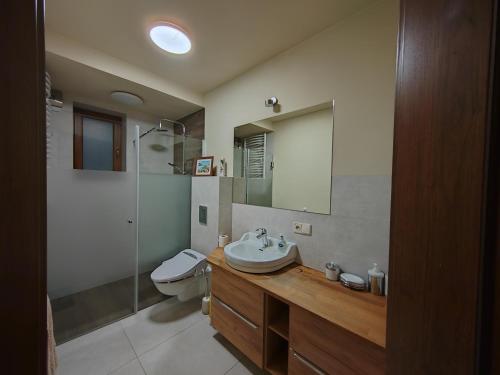 a bathroom with a sink and a toilet and a mirror at Akacja Apartament in Rzeszów