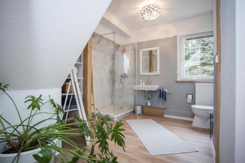 a bathroom with a shower and a toilet and a sink at Alte Vikarie in Winterberg