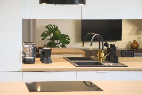 a kitchen with a sink and a counter top at Apartamenty Parkowa 9 in Lesko