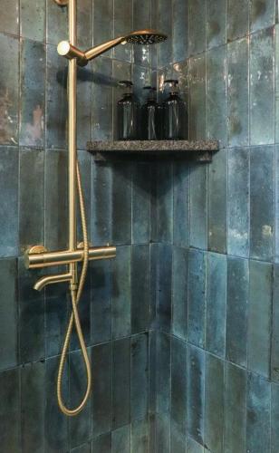 a shower with a hanger in a bathroom at Apartamenty Parkowa 9 in Lesko
