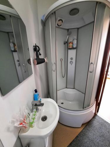 Bilik mandi di Двокімнатна квартира в центрі біля готелю Палаццо Мережа Alex Apartments Безконтакнте заселення 24-7