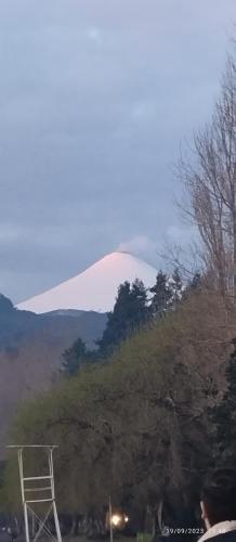 une montagne au sommet d'une colline arborée dans l'établissement Suite doble Coñaripe, à Coñaripe