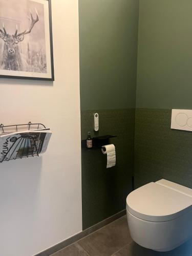 a bathroom with a toilet and a green wall at Das Genner - Boutique Appartement in Tauplitz