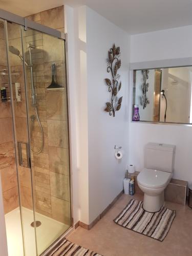 a bathroom with a shower and a toilet at Barn Court Bed and Breakfast in Everton