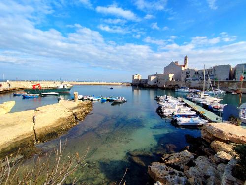 a group of boats are docked in a harbor at Alle volte Maison deluxe in Giovinazzo