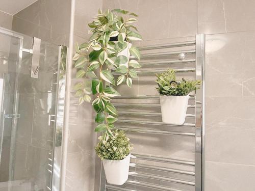 deux plantes en pot sur un mur dans une salle de bains dans l'établissement Les Bouleaux YourHostHelper, à Cagnes-sur-Mer