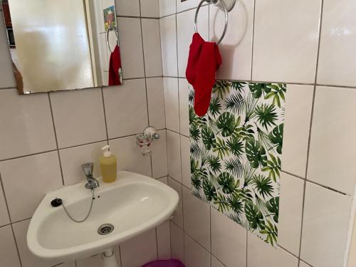 un baño con lavabo y espejo en Club Seru Coral Ap Toekan, en Santa Catharina