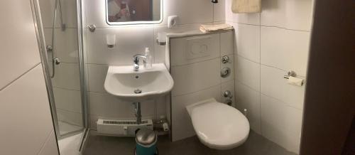 a small bathroom with a toilet and a sink at Panoramahaus in Bad Reichenhall