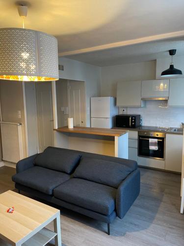 グルノーブルにあるmagnifique Duplex avec 2 chambres et parking gratuitのリビングルーム(青いソファ付)、キッチン
