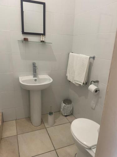 La salle de bains est pourvue d'un lavabo, de toilettes et d'un miroir. dans l'établissement Chamo bed and breakfast, à East London