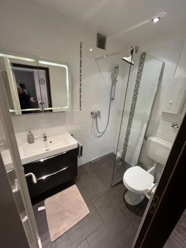 een badkamer met een douche, een wastafel en een toilet bij Appartement Augustaplatz in Baden-Baden