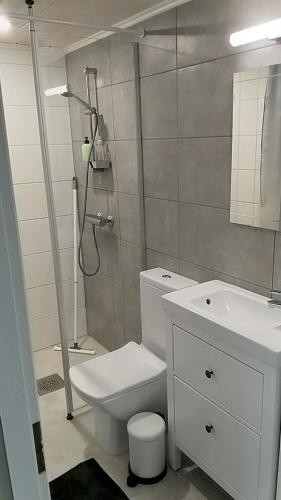 uma casa de banho com um WC, um chuveiro e um lavatório. em GuestHouse Ikimetsä em Kuusamo