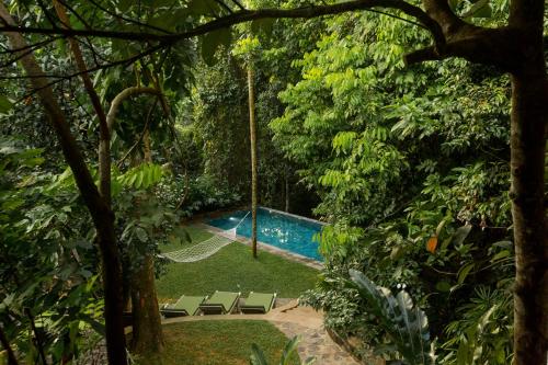 einen Pool in einem Garten mit Stühlen und Bäumen in der Unterkunft Ceylon Olive Galle in Galle