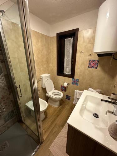 a bathroom with a toilet and a sink and a shower at Le chalet du skieur in La Thuile