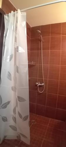 a shower with a white shower curtain in a bathroom at Katy's studio in Bansko