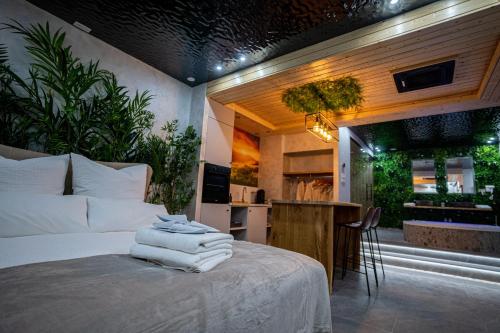 1 dormitorio con 1 cama y cocina con encimera en Le Nature - Sauna - Balnéo - Sparoom Sarreguemines en Sarreguemines