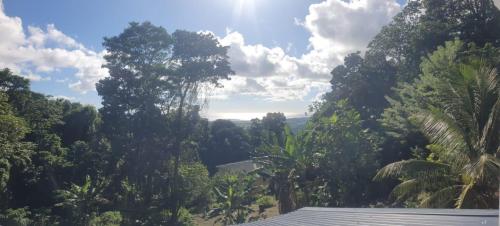 Un paisaje natural cerca del departamento