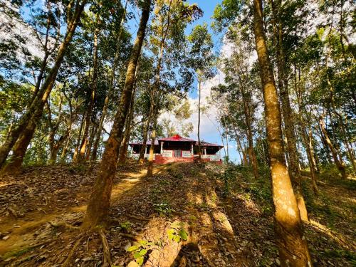 a cabin in the middle of a forest with trees at Fairy Hills ( Cottage & Park ) in Sreemangal