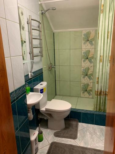 La salle de bains est pourvue de toilettes et d'un lavabo. dans l'établissement Під Боржавою, à Volovets
