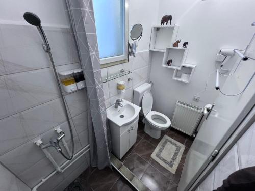 a bathroom with a shower and a toilet and a sink at Prenoćište Jocic in Pirot