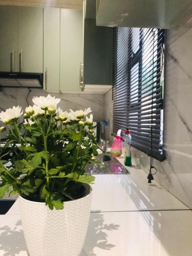 a bathroom sink with a potted plant on a counter at KaMageba Palace in Durban