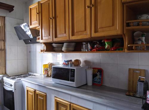 a kitchen counter with a microwave and a stove at Palm Hostel in Batumi