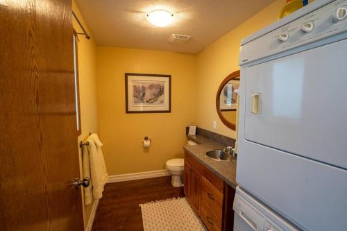 a bathroom with a toilet and a sink at Charming Cabin in the Mountains-HOT TUB! in Nordegg