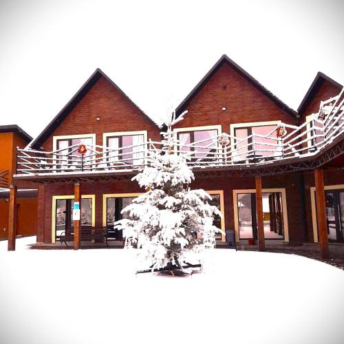 a snow covered tree in front of a building at Four Seasons In Carpathians in Migovo