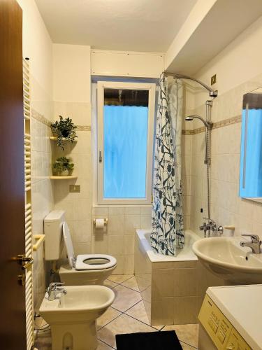 a bathroom with a toilet and a sink at VALTELLINA SONDRIO HOLIDAYS in Sondrio