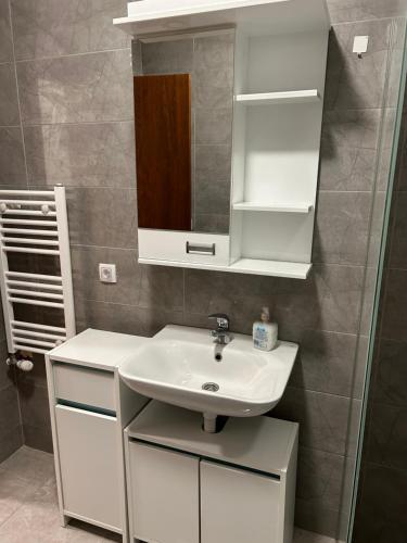 a bathroom with a white sink and a mirror at Sava lux apartman in Pirot
