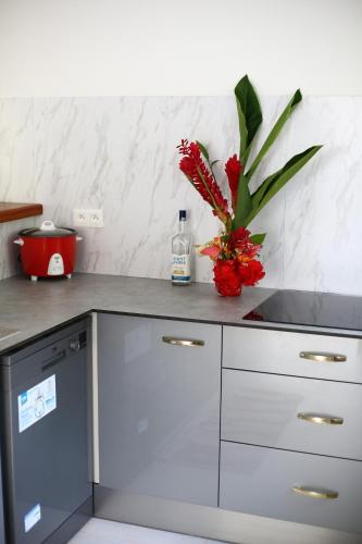 Una cocina o cocineta en Villa les MAHOGANYS