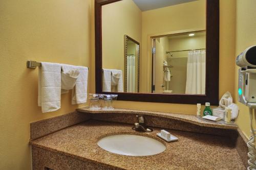 a bathroom with a sink and a mirror at SpringHill Suites by Marriott Dallas DFW Airport East Las Colinas Irving in Irving