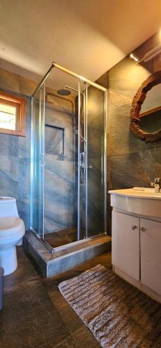 瓦尔迪维亚Hermosa Casa en Valdivia的带淋浴和卫生间的浴室