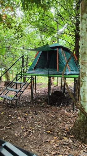 a tent on a picnic table in the woods at Dragster Tents in Kizhake Chālakudi
