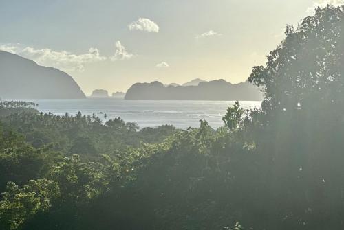 a view of the ocean from a hill with trees at TukoKubo in El Nido