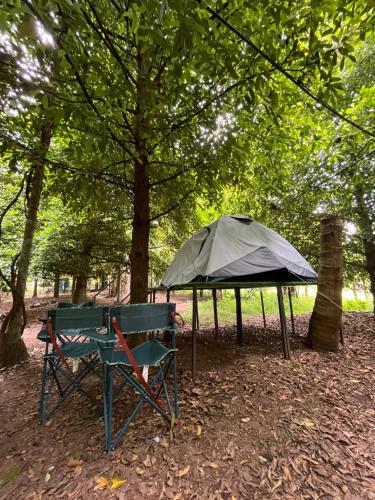 a tent and a chair under a tree at Dragster Tents in Kizhake Chālakudi