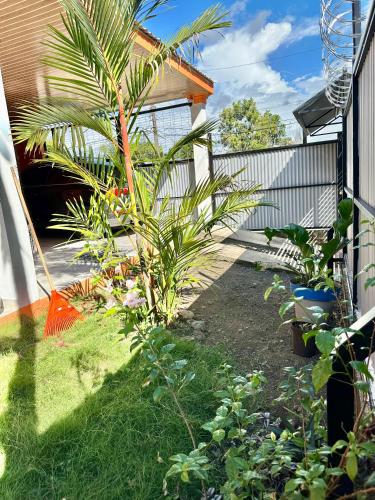 a garden with a palm tree in the yard at Casa Paraiso Tropical in Parrita