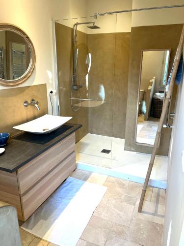 une salle de bain avec une douche avec un lavabo et un miroir dans l'établissement Villa des Alpilles, à Eygalières